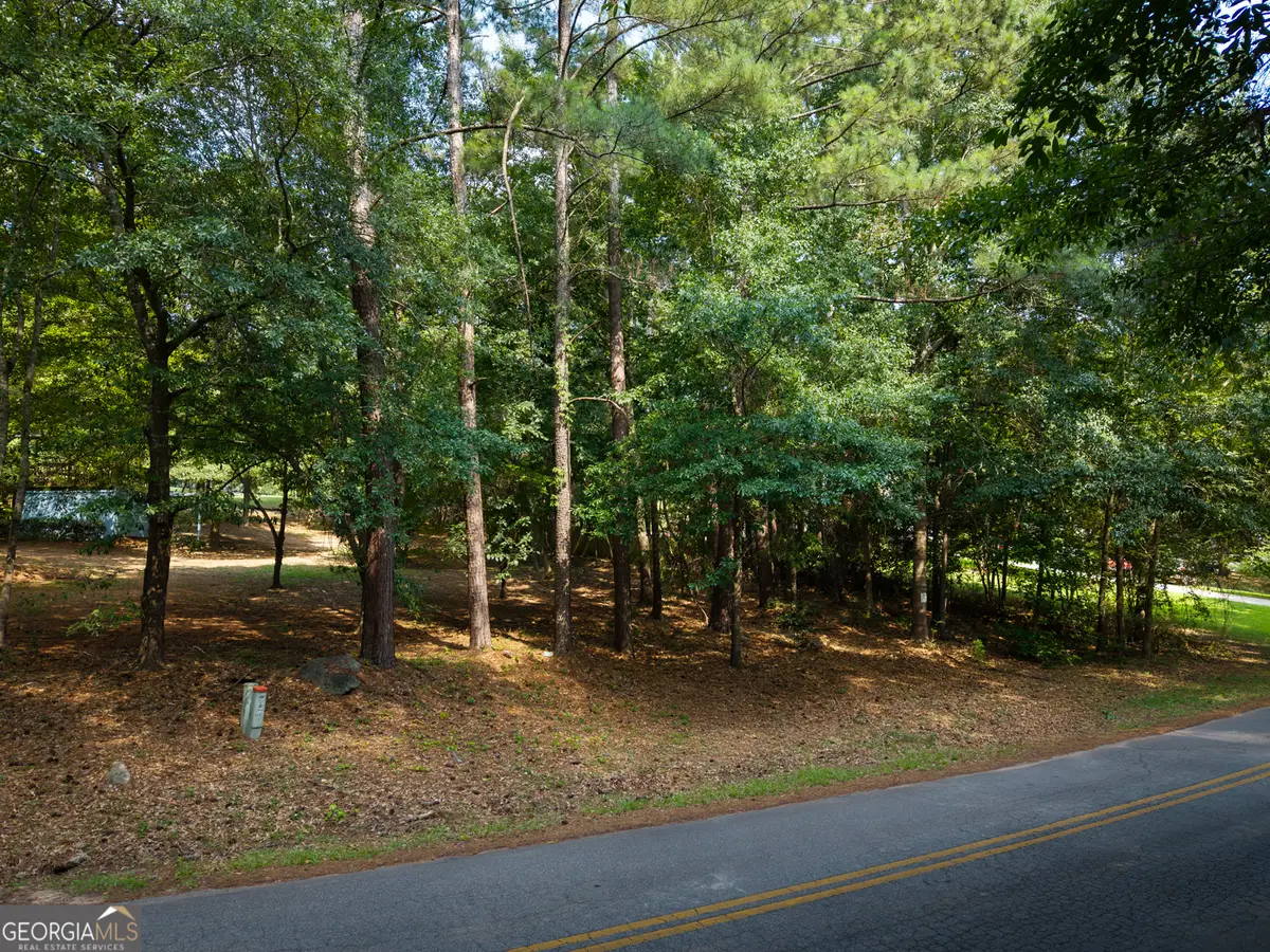 220 Flamingo Drive, Monticello, GA 31064 - #1