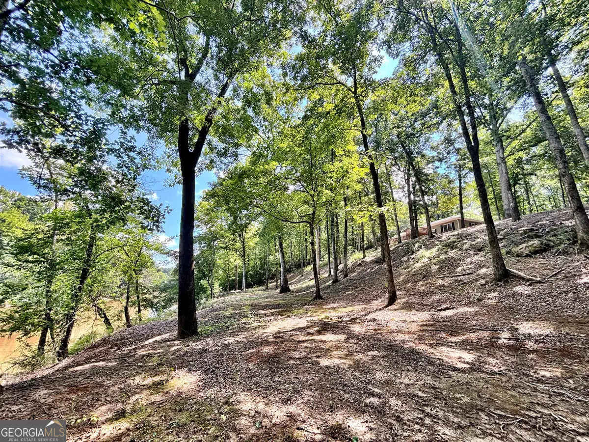 8502 S 19 Hwy, Culloden, GA 31016 - #1
