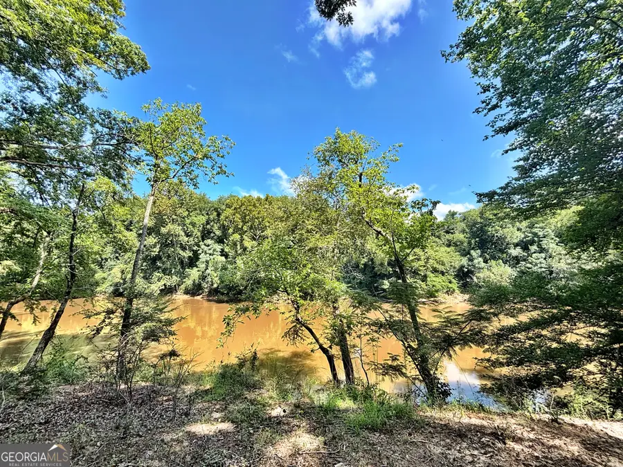8502 S 19 Hwy, Culloden, GA 31016 - #2