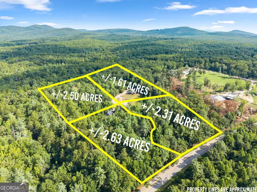 4061,4063,4065, Historic Old Highway 441, Clarkesville, GA 30523 - #3