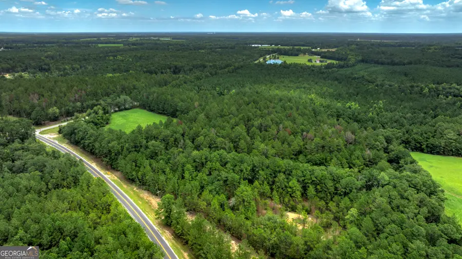 0 Ga Highway 169, Claxton, GA 30417 - #3