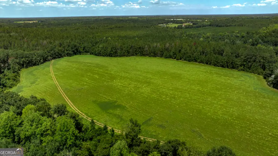 0 Wallace Parker Drive, Claxton, GA 30417 - #2