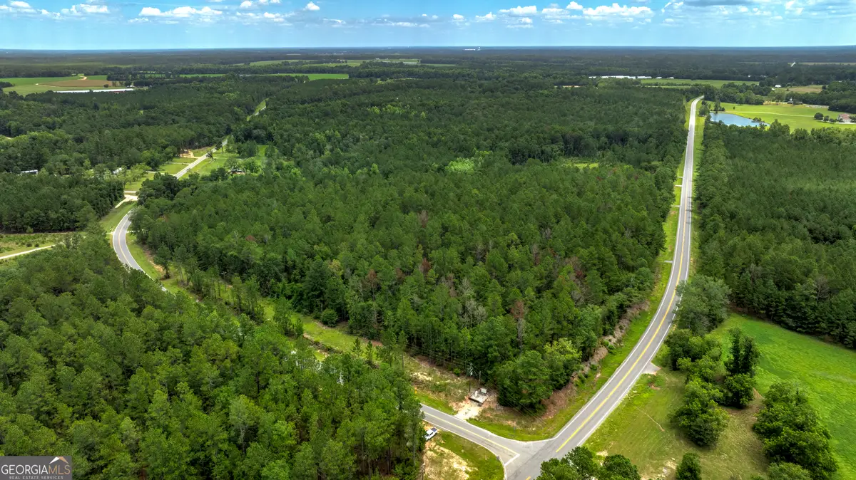 0 Stafford Road, Claxton, GA 30417 - #1