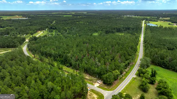 0 Stafford Road, Claxton, GA 30417