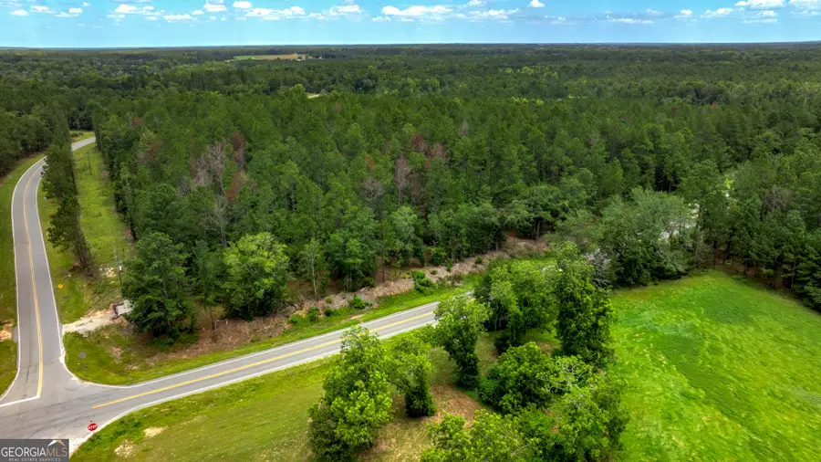 0 Stafford Road, Claxton, GA 30417 - #3