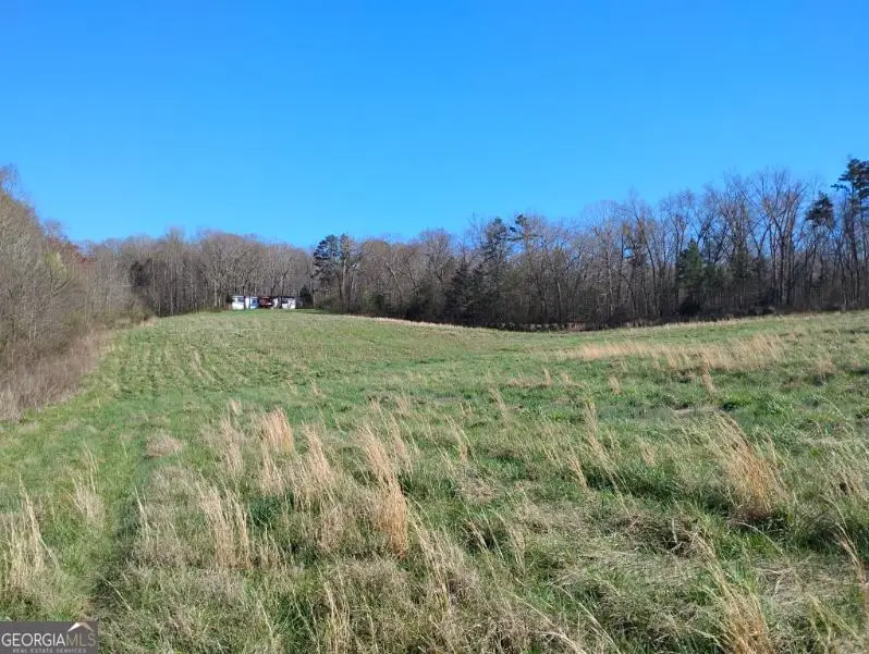 2331 Kesler Road, Carnesville, GA 30521 - #1