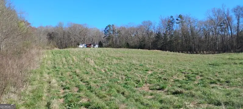 2331 Kesler Road, Carnesville, GA 30521 - #2