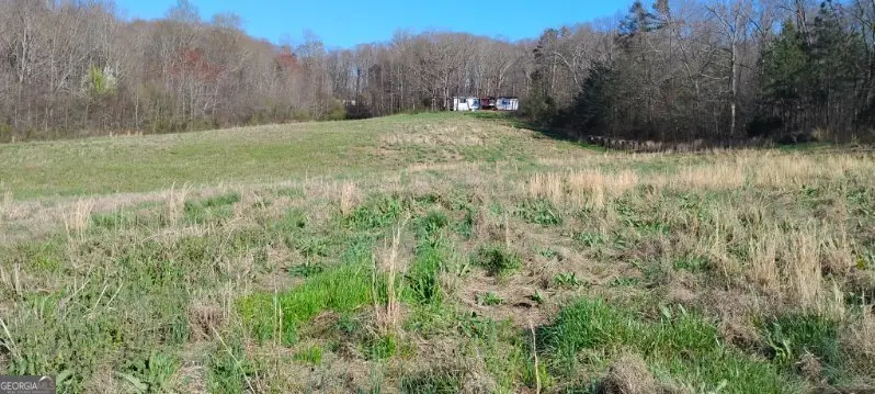 2331 Kesler Road, Carnesville, GA 30521 - #3