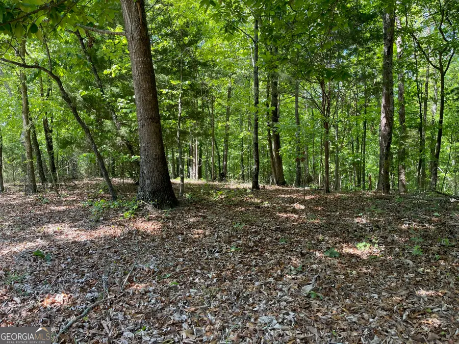 TRACT 1A Chalcrest Way, Cave Spring, GA 30124 - #2