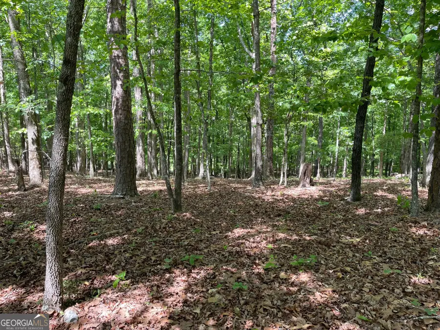 TRACT 1A Chalcrest Way, Cave Spring, GA 30124 - #3