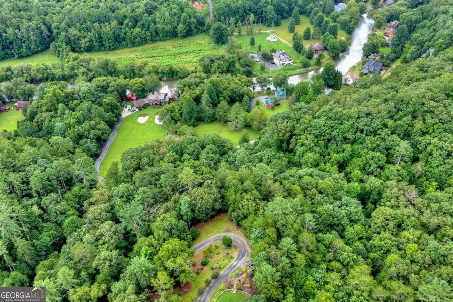LOT 5B Toccoa River Forest, Mineral Bluff, GA 30559 - #3