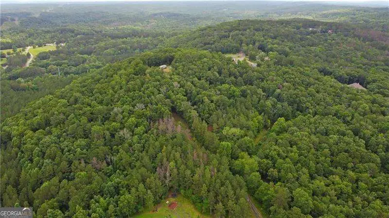 1845 Tibbitts Road, Dallas, GA 30132 - #1