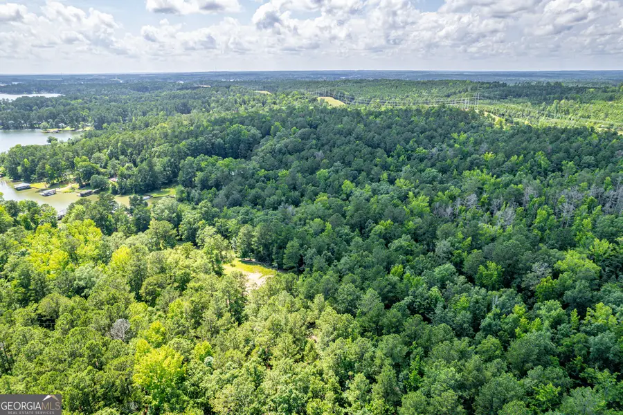0 Pine Lake Drive, Sparta, GA 31087 - #2