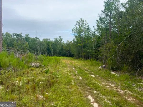 0 Old Ailey-lothair Road, Mount Vernon, GA 30445