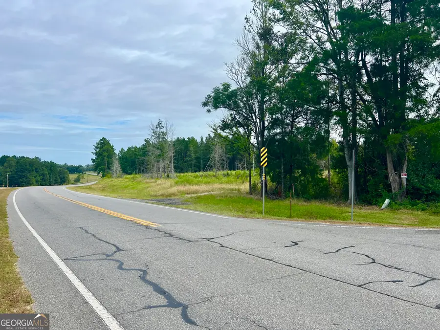 0 Old Ailey-lothair Road, Mount Vernon, GA 30445 - #2