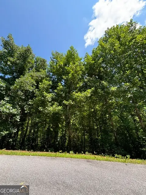 LOT #5 King Mountain Drive, Clayton, GA 30525 - #2
