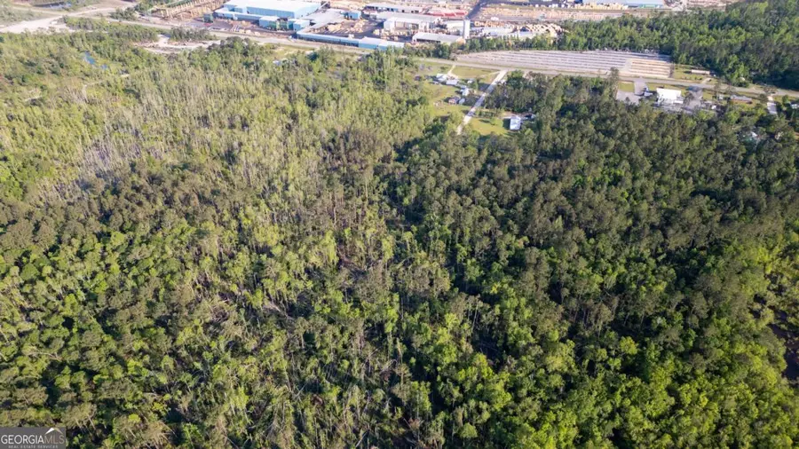 0 Walter Phillips Road, Hazlehurst, GA 31539 - #2