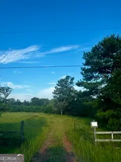 1368 Pleasant Grove Road, Yatesville, GA 31097 - #2