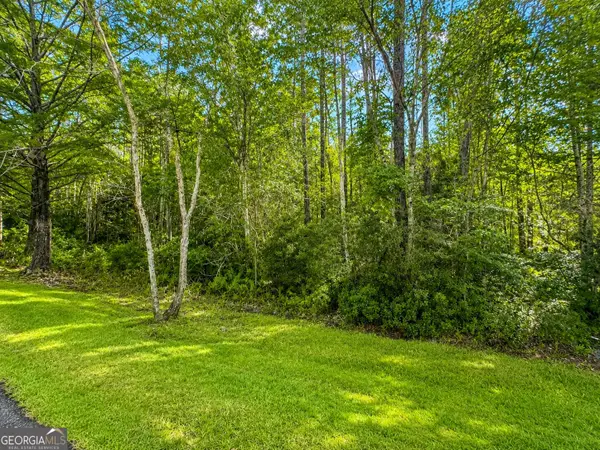 LOT 163 La Terra Lane, Waverly, GA 31565
