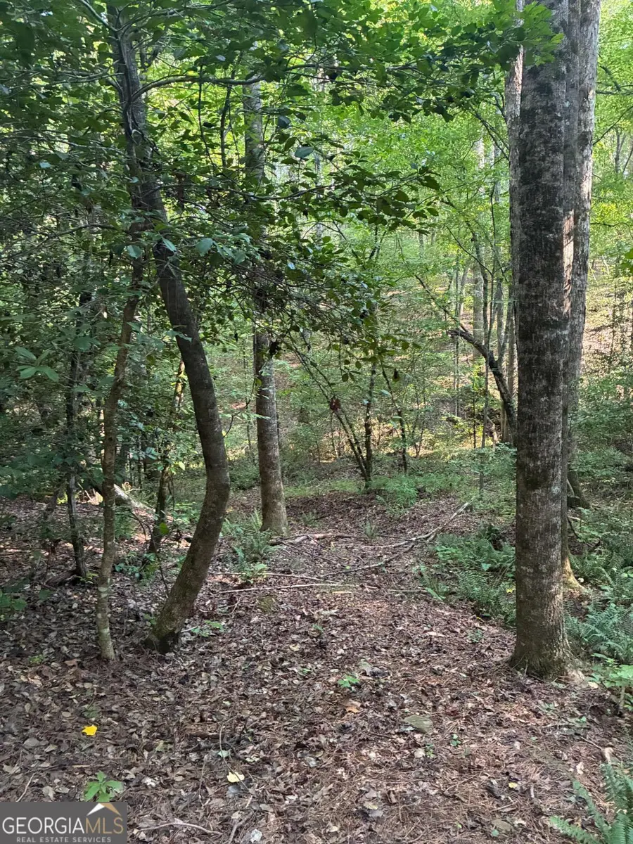 156 Whitfield Lane, Ball Ground, GA 30107 - #3
