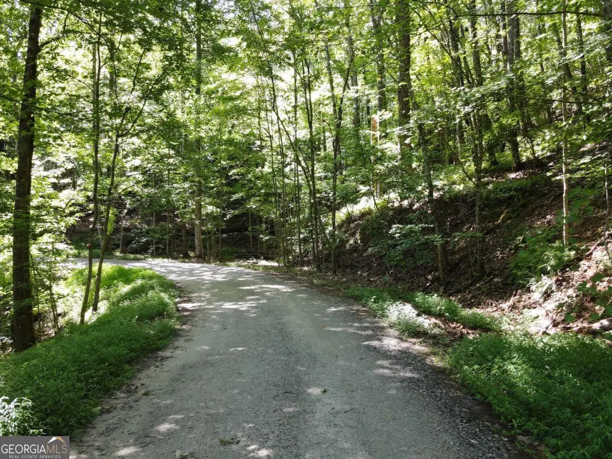 0 Bald Eagle Path, Cleveland, GA 30528 - #1