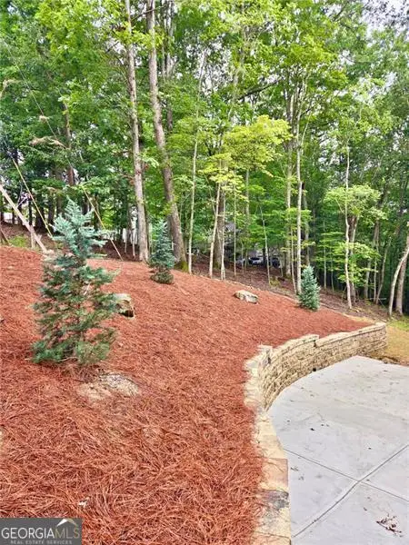 137 Bear Drive, Waleska, GA 30183 - #3