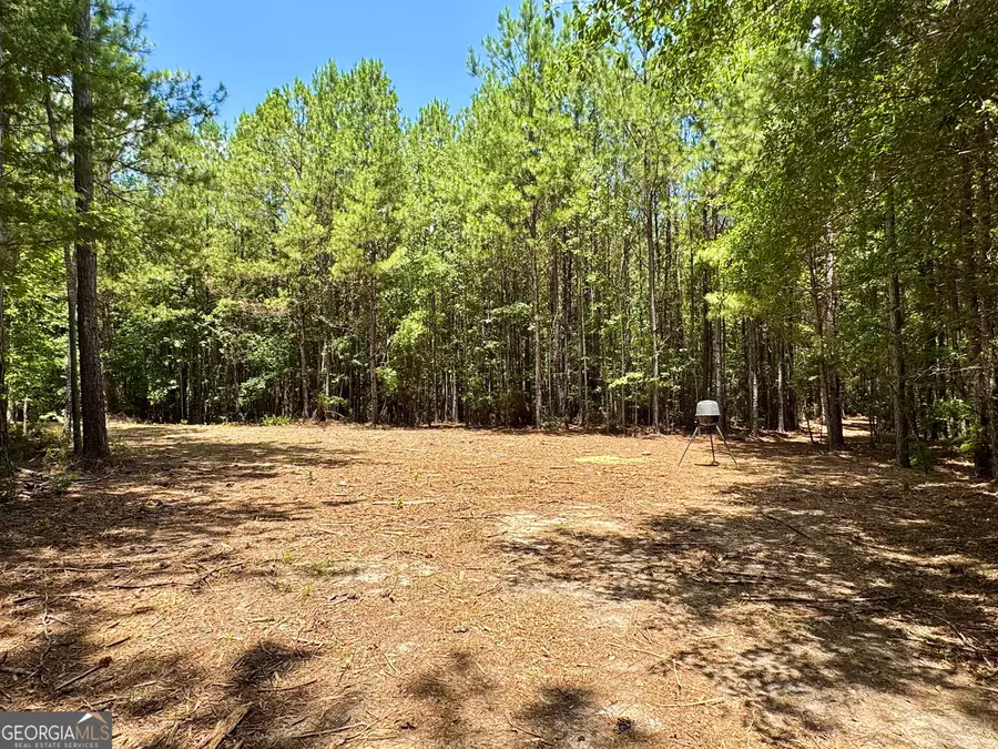 2 Roy Lawrence Road, Sparta, GA 31087 - #2