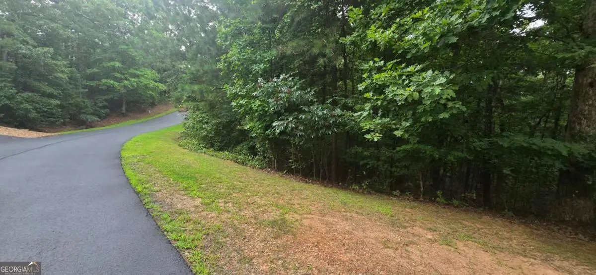 LOT 9 Harris Creek Drive, Ellijay, GA 30540 - #1