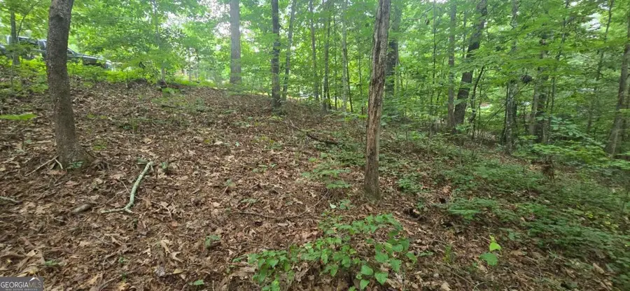 LOT 9 Harris Creek Drive, Ellijay, GA 30540 - #2