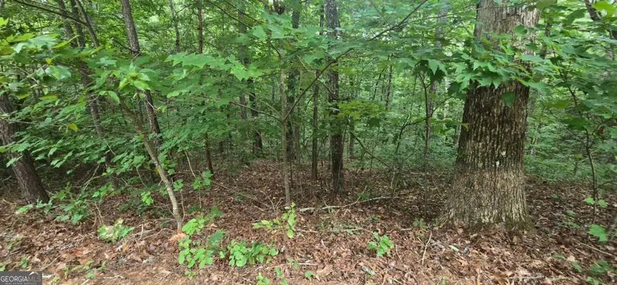 LOT 9 Harris Creek Drive, Ellijay, GA 30540 - #3