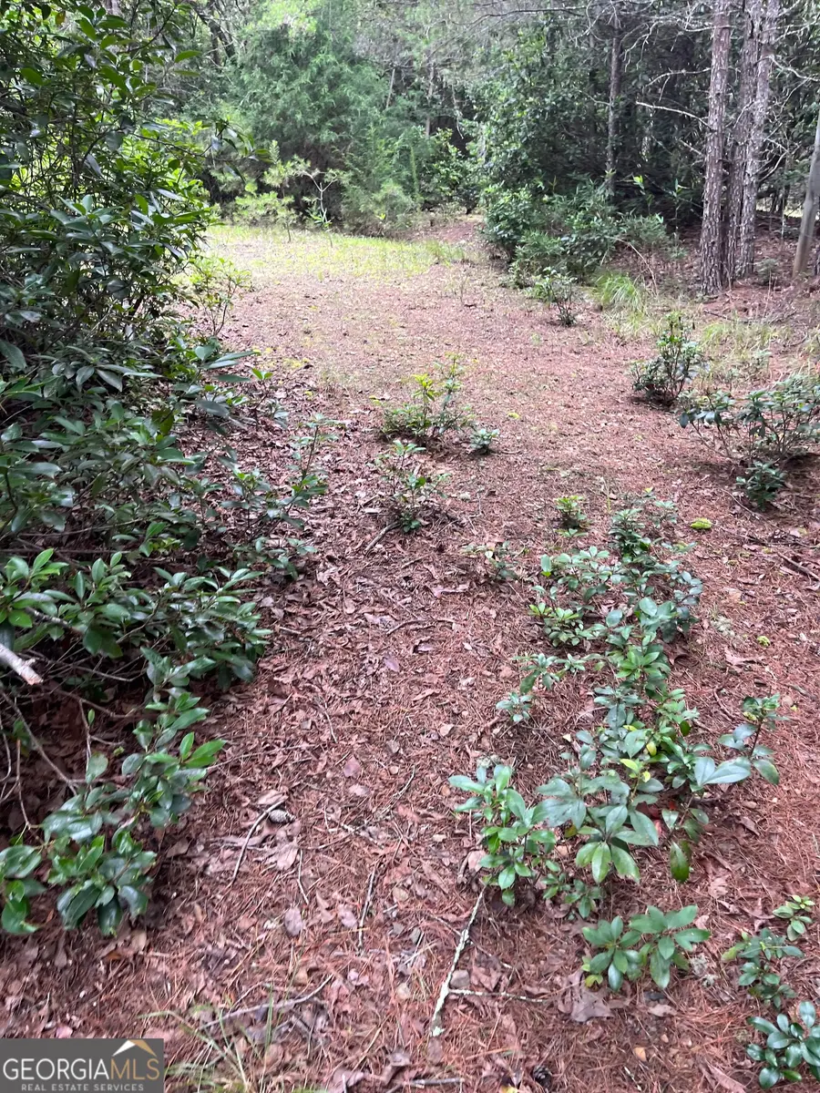 0 Windy Ridge, Otto, NC 28763 - #3