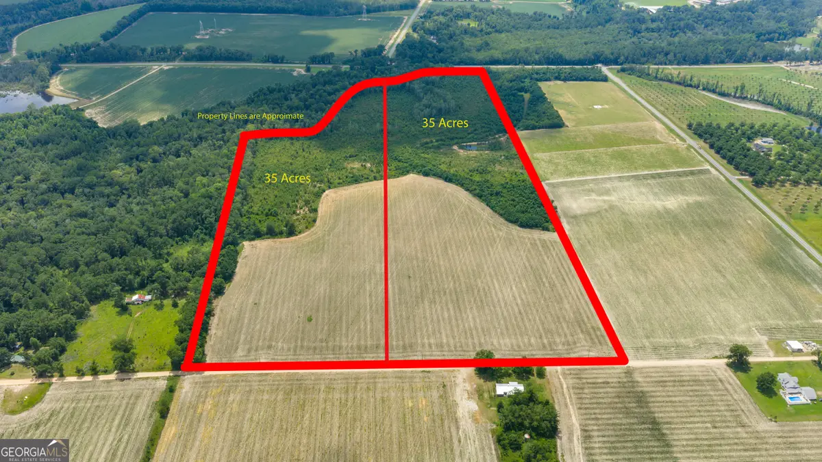 TRACT 3 Wade Aycock Road, Surrency, GA 31563 - #1