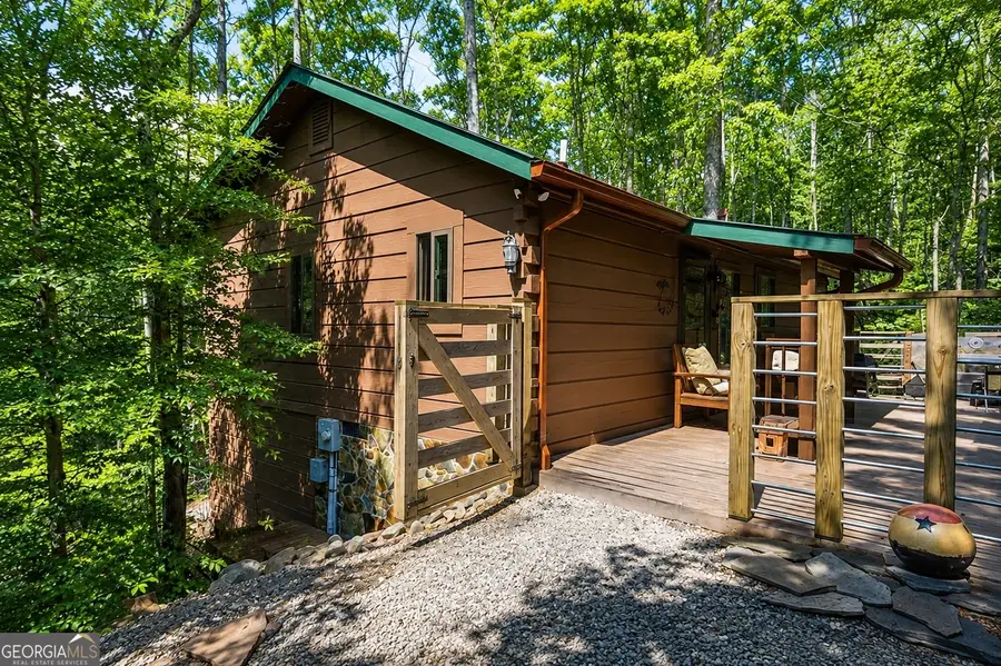 266 Chimney Rock Road #462, Cherry Log, GA 30522 - #3