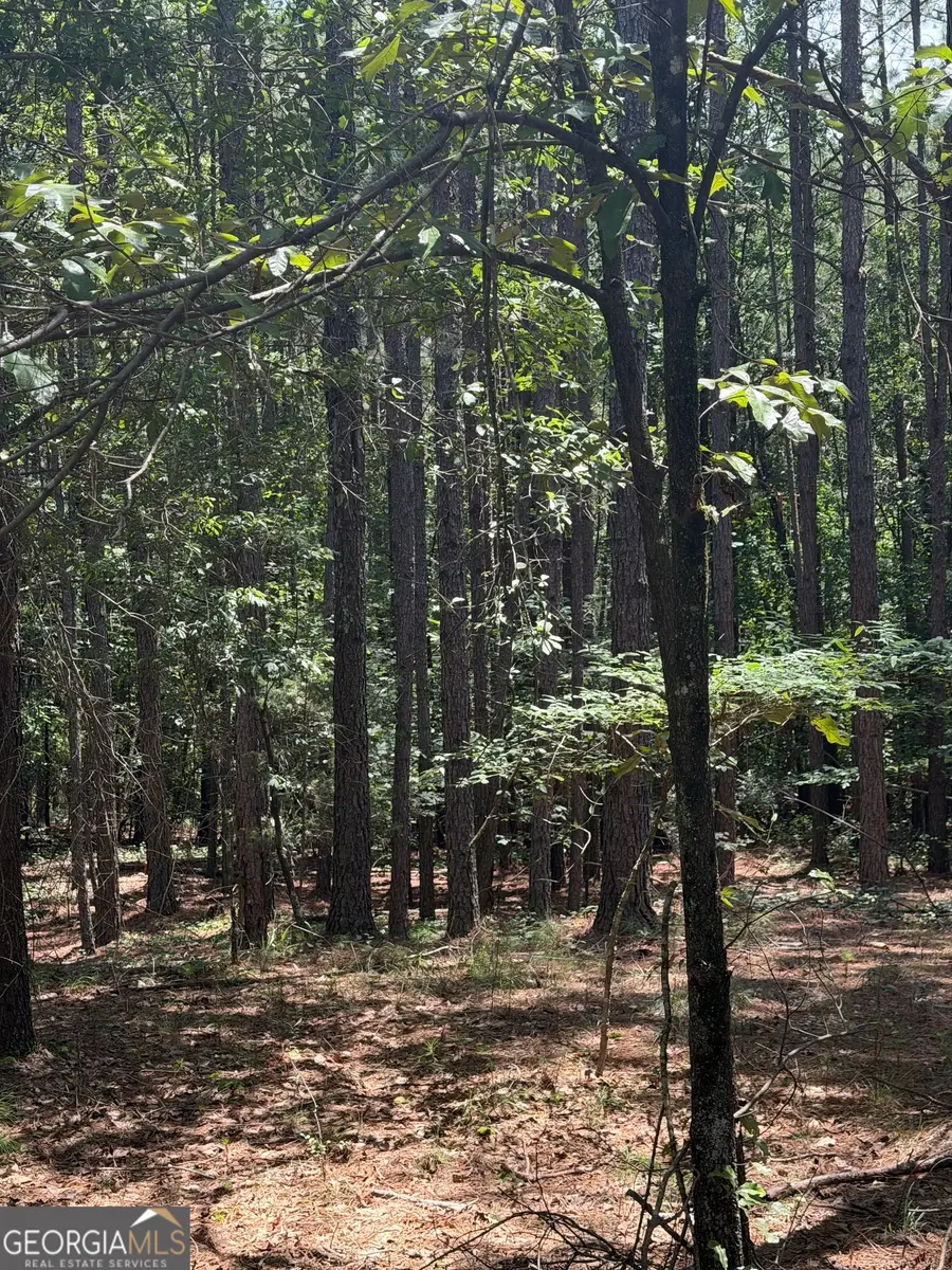 0 Osley Mill Road, Carlton, GA 30627 - #2