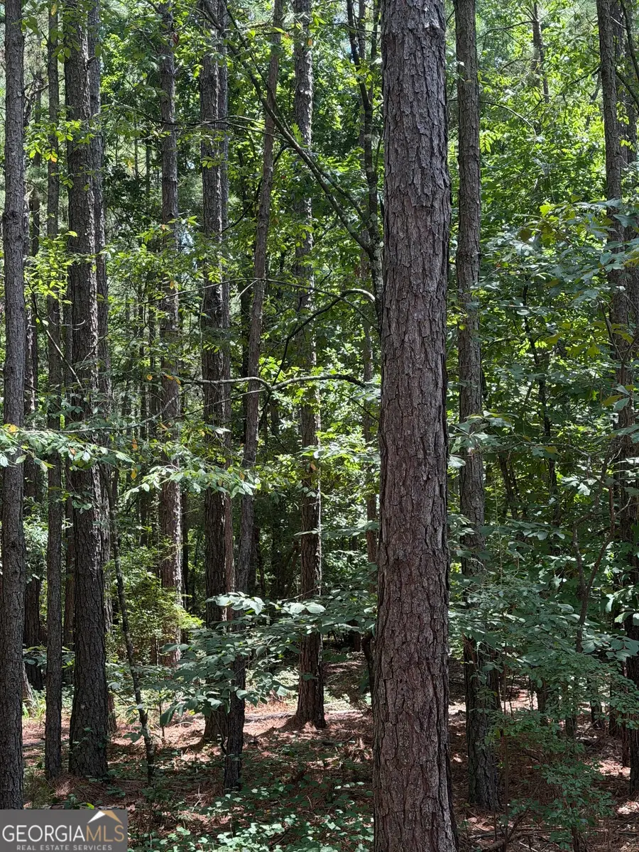 0 Osley Mill Road, Carlton, GA 30627 - #3