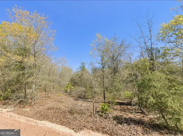 0 Mixon Lane, Douglas, GA 31535