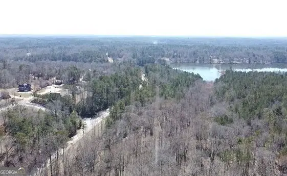 12425 Panhandle Road, Hampton, GA 30228 - #2