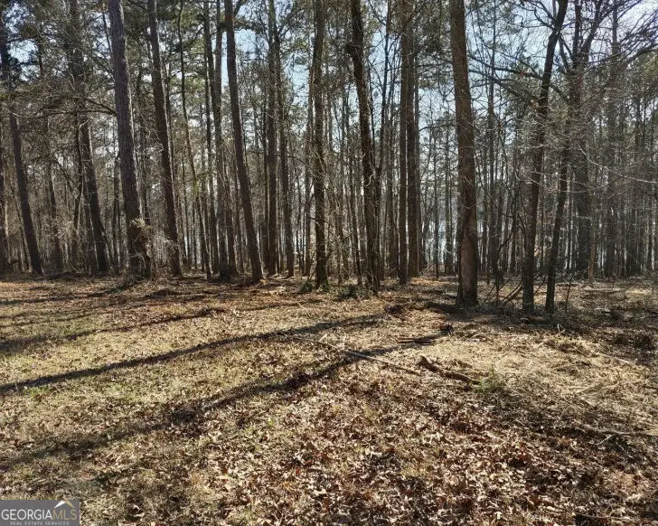 12425 Panhandle Road, Hampton, GA 30228 - #3