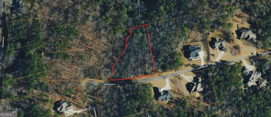 0 Orchard Drive, Clarkesville, GA 30523 - #2
