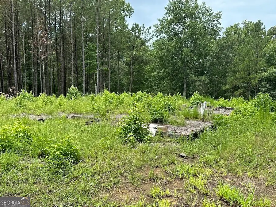 0 Ferry Road, Franklin, GA 30217 - #3