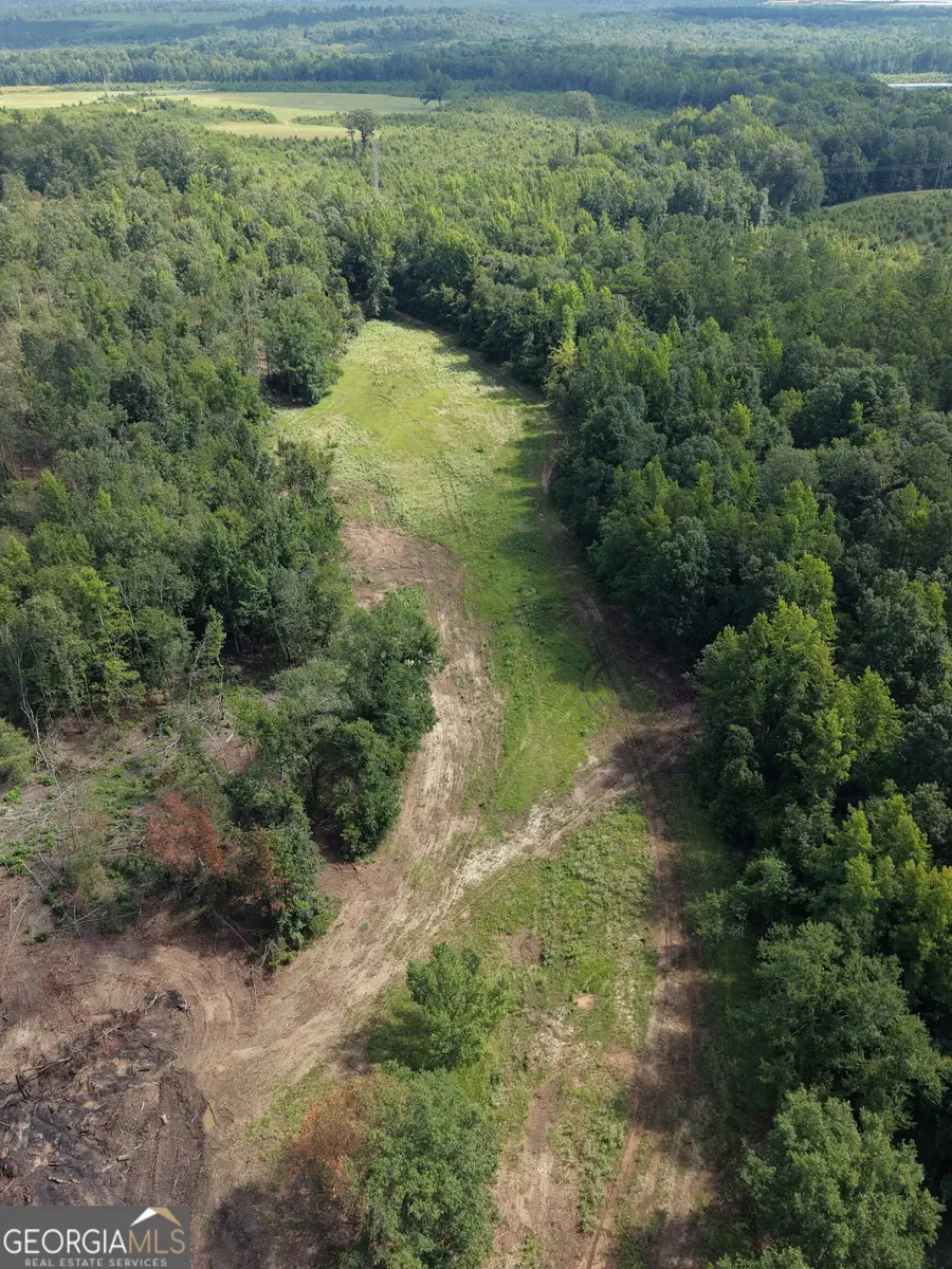 0 Highway 57, McIntyre, GA 31054 - #2