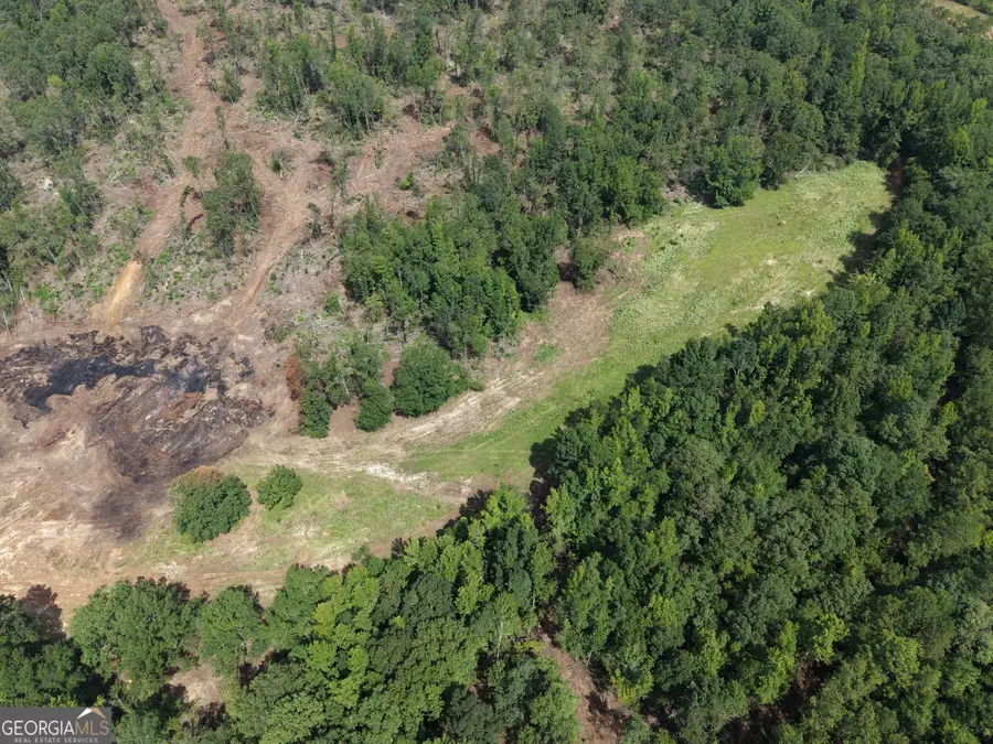 0 Highway 57, McIntyre, GA 31054 - #3