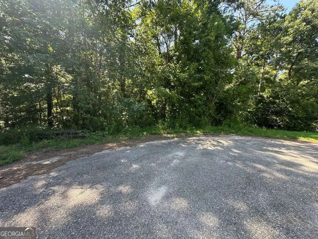 0 River Bend Drive, Carlton, GA 30627 - #1