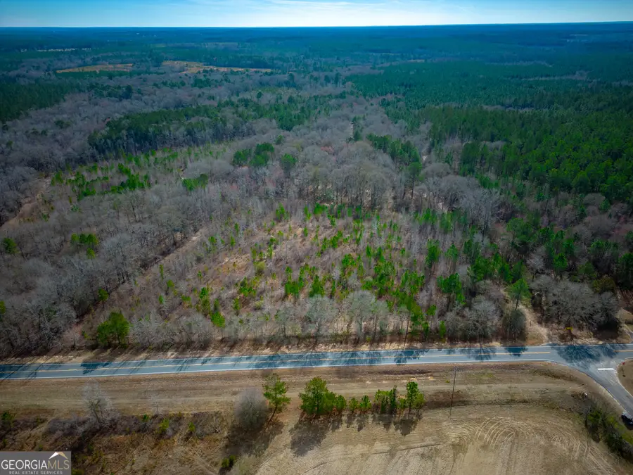 0 Eastman Dublin Highway, Cadwell, GA 31009 - #3