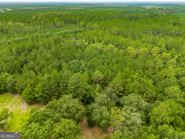 0000 Morgan Road, Waycross, GA 31503