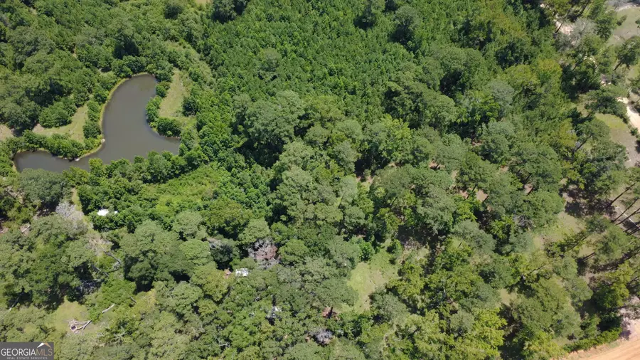 807 Aden Lanier Road, Statesboro, GA 30458 - #2