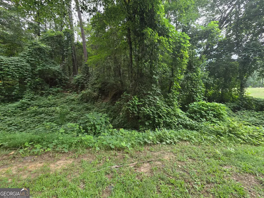 690 Northlake Circle, Oxford, GA 30054 - #2