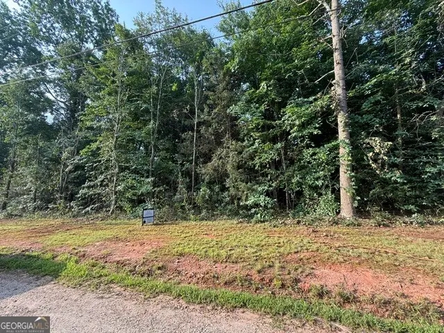 LOT 41 Rue Lafayette, Lavonia, GA 30553 - #3