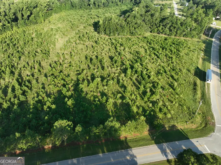0 Ben Grady Collins Rd, Portal, GA 30450 - #2