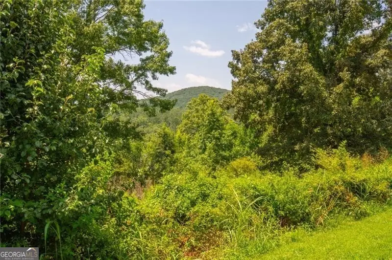 LOT A Porter Springs Road, Dahlonega, GA 30533 - #3